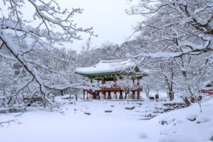 Wie ist das Wetter in Japan im Dezember? Klima und Wetterbedingungen in Japan im Dezember