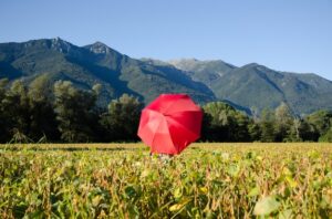 Wie warm ist es im Mai in Albanien? Das Wetter in Albanien im Mai im Überblick